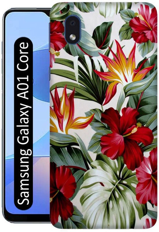 Crafto Rama Back Cover for Samsung A01 Core / SM-A013F/DS / SM A013G/DS  (Multicolor, 3D Case)