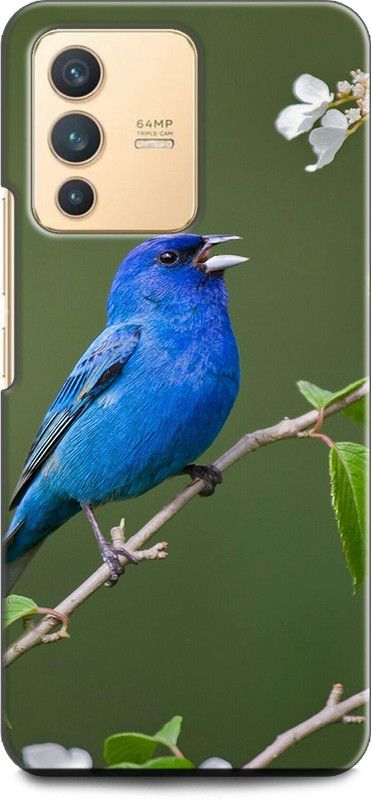 Wall Art Back Cover for Vivo V23 (5G) Blue Bird, Animals  (Multicolor, Dual Protection, Pack of: 1)