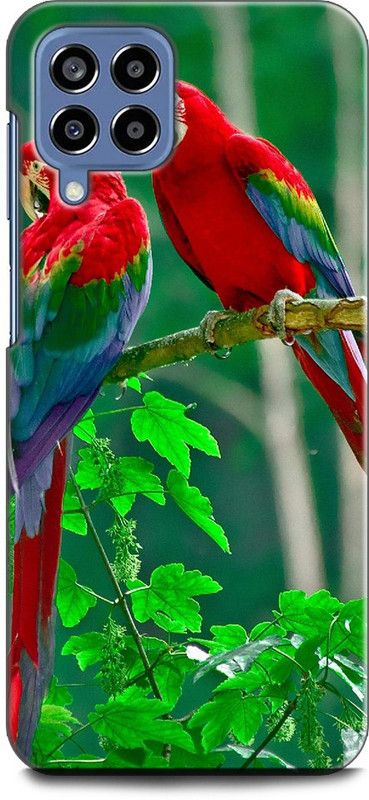 INDICRAFT Back Cover for SAMSUNG Galaxy M53 5G PARROT, COLOURFUL PARROT, BIRD,  (Multicolor, Shock Proof, Pack of: 1)