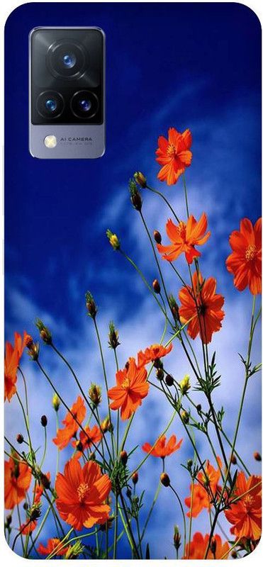 Zaplab Back Cover for ViVO V21 5G, V2050 Nature Landscape Printed Back Cover  (Multicolor, Hard Case, Pack of: 1)