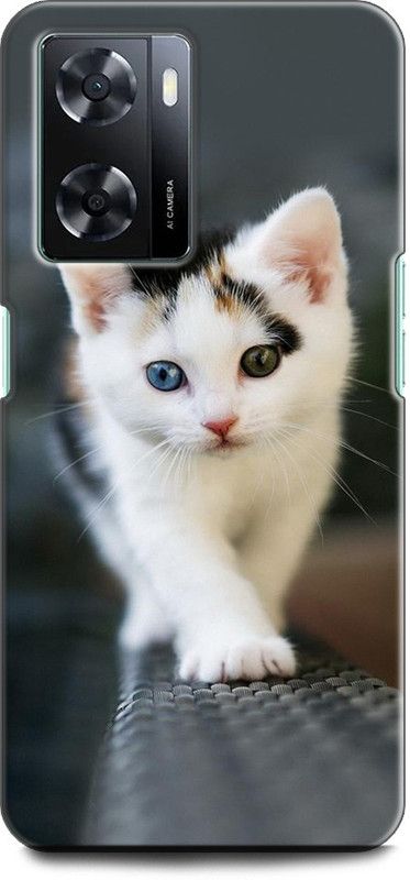 KEYCENT Back Cover for OPPO A77, CPH2385 CAT, WHITE CAT, CUTE CATE, LITTILE CAT, BLUE EYES CAT  (Multicolor, Shock Proof, Pack of: 1)