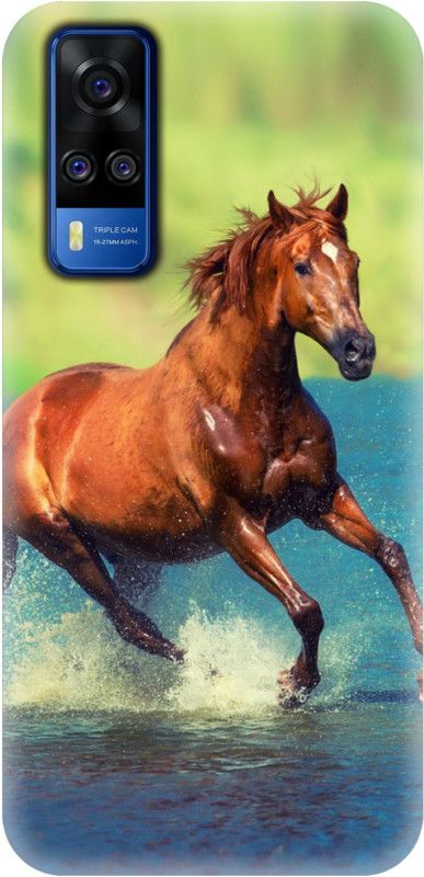 Smutty Back Cover for Vivo Y51, Vivo Y51A - Horse Print  (Multicolor, Hard Case, Pack of: 1)