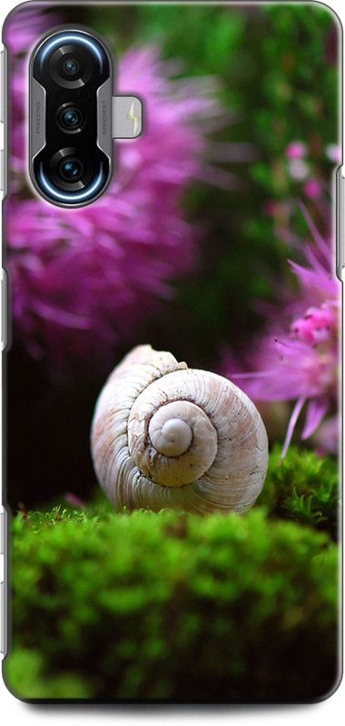 Wall Art Back Cover for POCO F3 GT FLOWERS, ROSES, FLORAL, TROPICAL, NATURAL  (Multicolor, Dual Protection, Pack of: 1)