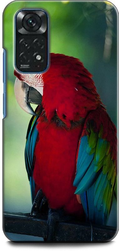 WallCraft Back Cover for Redmi Note 11S PARROT, COLORFULL PARROT, BIRD,  (Multicolor, Dual Protection, Pack of: 1)