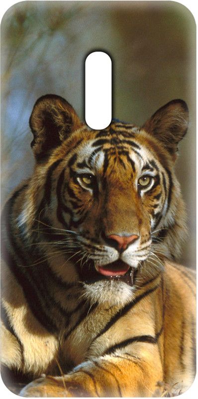 Smutty Back Cover for OPPO Reno, CPH1917 - Tiger Print  (Multicolor, Hard Case, Pack of: 1)