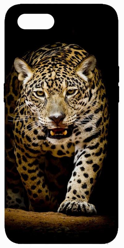 PrintKing Back Cover for Realme C2(Lions Cover, Animals, Boys Back Cover, Designer, Grip Case)  (Multicolor, Waterproof, Silicon, Pack of: 1)