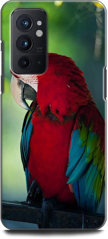 WallCraft Back Cover for OnePlus 9RT 5G PARROT, COLORFULL PARROT, BIRD,  (Multicolor, Dual Protection, Pack of: 1)