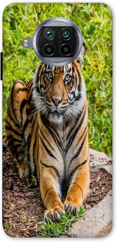 LUCKY MOBI.COM Back Cover for Mi 10i, 10T Lite ( lion, animals) PRINTED BACK COVER  (Multicolor, Waterproof, Pack of: 1)