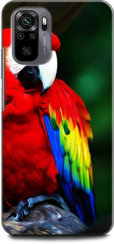 INDICRAFT Back Cover for REDMI Note 10 PARROT, COLOURFUL PARROT, BIRD,  (Multicolor, Dual Protection, Pack of: 1)