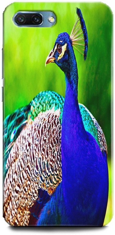 INDICRAFT Back Cover for Honor 10, Peacock, Printed  (Multicolor, Shock Proof, Pack of: 1)