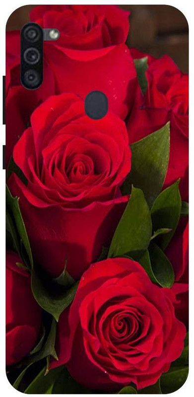 URCHIN Back Cover for Samsung M11 Rose, Roses, Red rose, Flower  (Multicolor, Shock Proof, Pack of: 1)