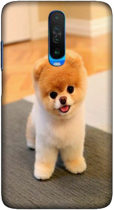CROKIAN Back Cover for POCO X2 Cute dog Back Cover  (Multicolor, Hard Case, Pack of: 1)