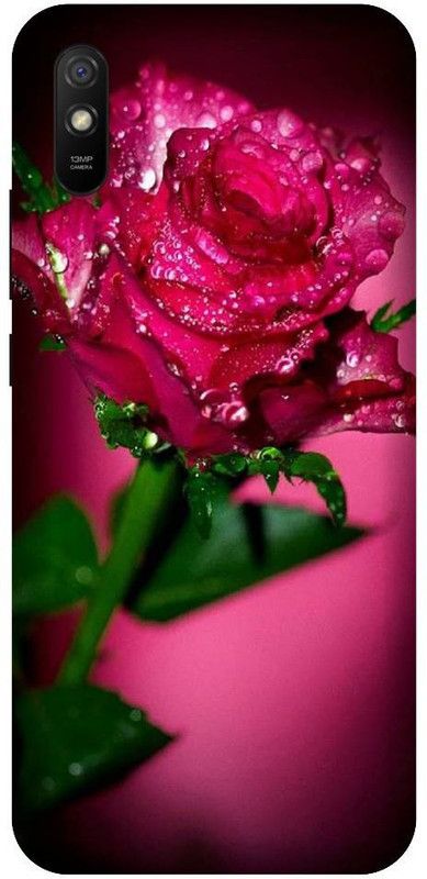 URCHIN Back Cover for Vivo V11Pro Rose, Roses, Red rose, Flower  (Multicolor, Shock Proof, Pack of: 1)