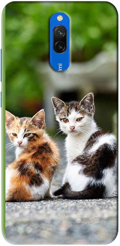NDCOM Back Cover for Redmi 8A Dual Cute Cat Kitty Printed  (Multicolor, Hard Case, Pack of: 1)
