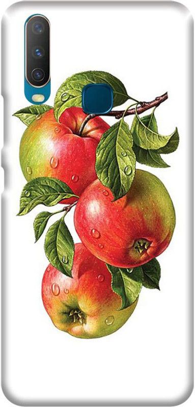 PNBEE Back Cover for Vivo Y17, 1902, V1901A, V1901 - Print Mobile Case Cover  (Multicolor, Hard Case, Pack of: 1)