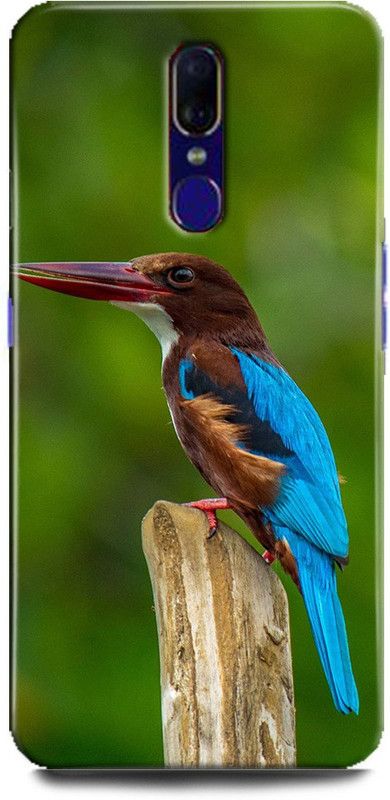 FIKORA Back Cover for OPPO F11/CPH1911 KINGFISHER PRINTED  (Multicolor, Hard Case, Pack of: 1)