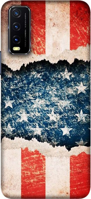 PNBEE Back Cover for vivo Y12s, V2026, V2033 - Flag Print  (Multicolor, Hard Case, Pack of: 1)