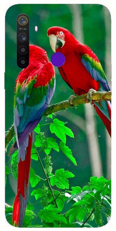 PrintCorner Back Cover for Realme 5 Pro  (Multicolor, Grip Case, Silicon)