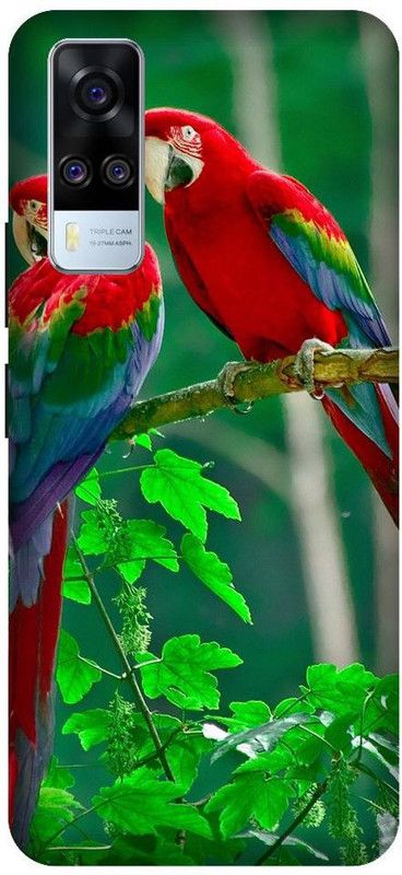 URCHIN Back Cover for Vivo Y31 Parrot, Natural, Nature, tropical, birds, parrot couple, cute, beautiful  (Multicolor, Shock Proof, Pack of: 1)