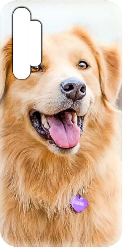 Smutty Back Cover for Realme XT, RMX1921 - Dog Print  (Multicolor, Hard Case, Pack of: 1)