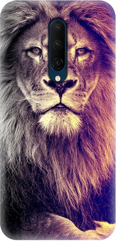 Smutty Back Cover for OnePlus 8 - Lion Print  (Multicolor, Hard Case, Pack of: 1)