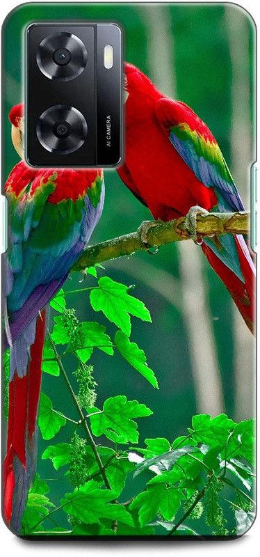 INDICRAFT Back Cover for OPPO A57, CPH2387 PARROT, COLOURFUL PARROT, BIRD,  (Multicolor, Shock Proof, Pack of: 1)