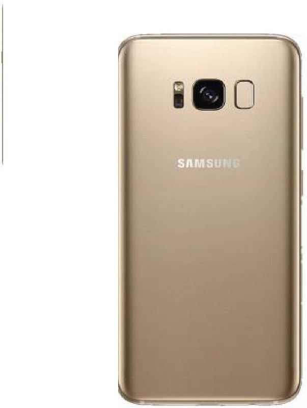 ALL HAYY STORE Samsung Galaxy S8 Back Panel  (Gold)