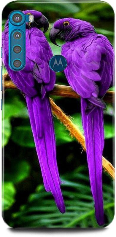 JUGGA Back Cover for MOTOROLA One Fusion+, PARROT, PURPLE, PARROT, PIGEON  (Purple, Hard Case)