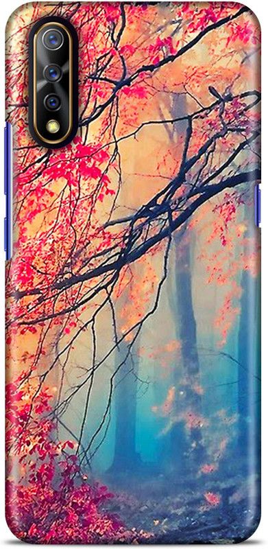 Sankee Back Cover for VIVO S1 / VIVO 1907  (Multicolor, Hard Case)