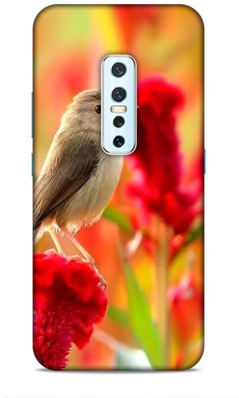 ND ENTERPRISE Back Cover for VIVO V17PRO  (Multicolor, 3D Case)