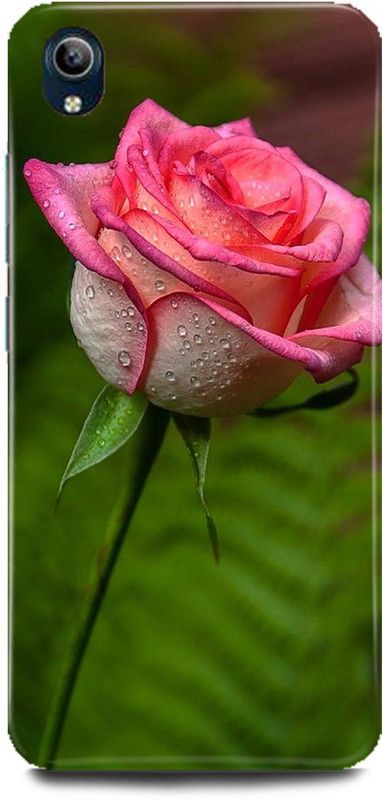 MP ARIES MOBILE COVER Back Cover for Vivo Y91i, 1820,FLOWERS,Rose,Colurfull,Red,rose,Pink,Rose,White,Pink,Rose,  (Multicolor, Hard Case, Pack of: 1)