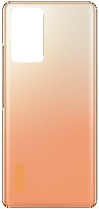 Topset Xiaomi Redmi Note 10 Pro (Glass) Back Panel  (Gold)