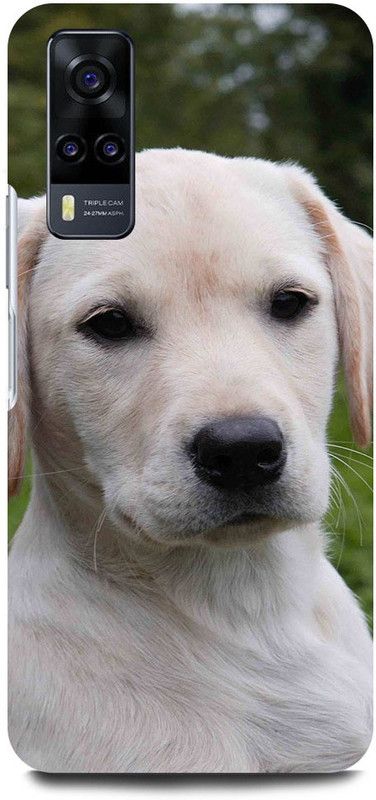 FUGGA Back Cover for Vivo V20 SE, V2022, WHITE, DOG, PUPPIE, CUTE, DOG  (Multicolor, Hard Case, Pack of: 1)