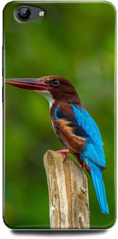 FIKORA Back Cover for OPPO A83 (2018 Edition)/OPPO A83/CPH1729 KINGFISHER PRINTED  (Multicolor, Hard Case, Pack of: 1)