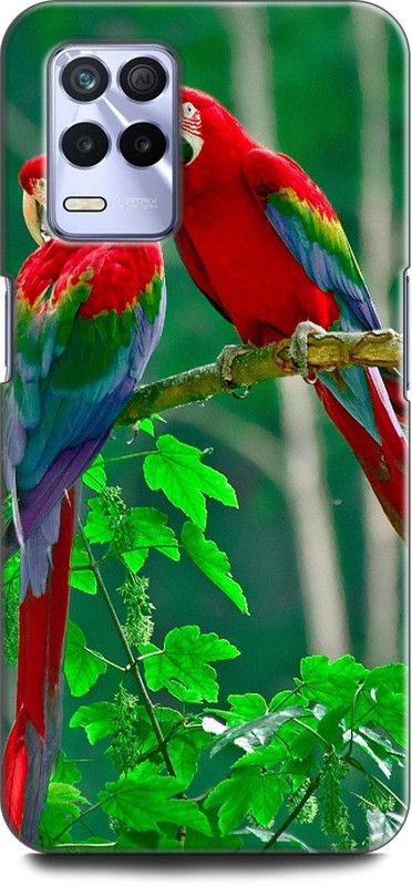 KEYCENT Back Cover for Realme 9 5G, RMX3388 PARROT, COLORFULL PARROT, BIRD,  (Multicolor, Shock Proof, Pack of: 1)