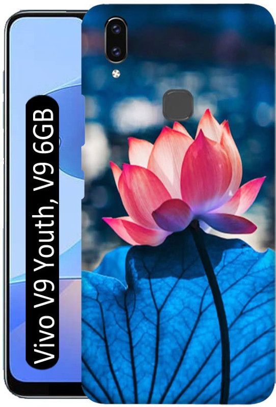 Crafto Rama Back Cover for Vivo V9 Youth, Vivo V9 6GB, Vivo 1727  (Multicolor, 3D Case, Pack of: 1)