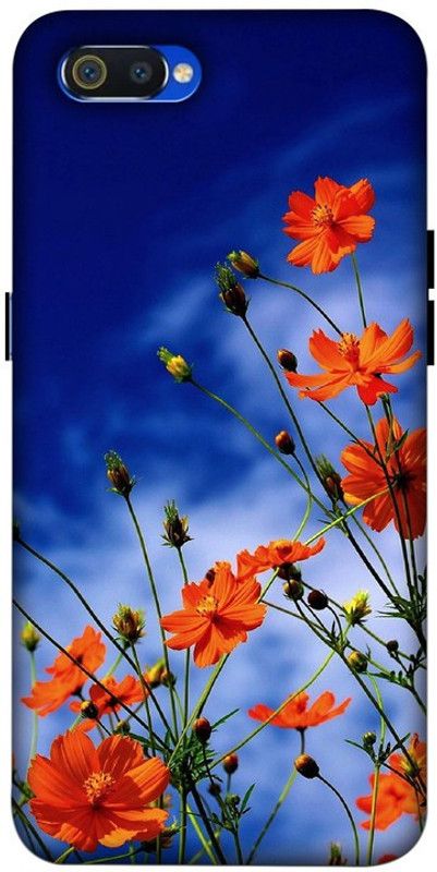 LUCKY MOBI.COM Back Cover for Realme C2 ( NETURAL WALLPAPER) PRINTED BACK COVER  (Multicolor, Hard Case, Pack of: 1)