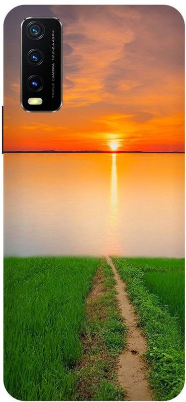 Zaplab Back Cover for Vivo Y20G  (Multicolor, Hard Case, Pack of: 1)