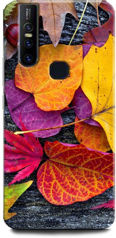 Afterglow Back Cover for Vivo V15 LEAF, TREE LEAF, COLORFULL, COULOUR, STONES, NATURE, TREE  (Multicolor, Shock Proof, Pack of: 1)