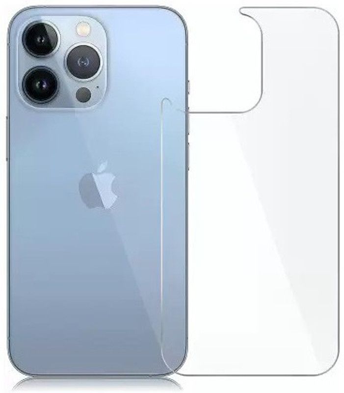 DSCASE Back Screen Guard for APPLE iPhone 14  (Pack of 1)