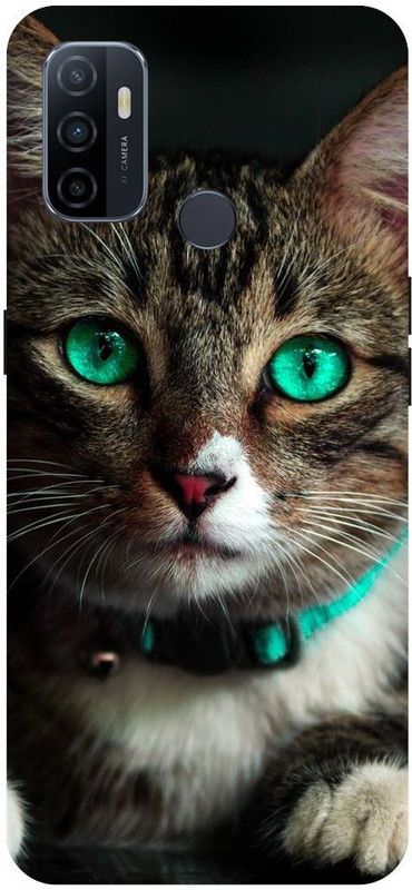 URCHIN Back Cover for Oppo A53 Cat, Animal, Cute cat, funny, Pussycat, Meow  (Multicolor, Shock Proof, Pack of: 1)