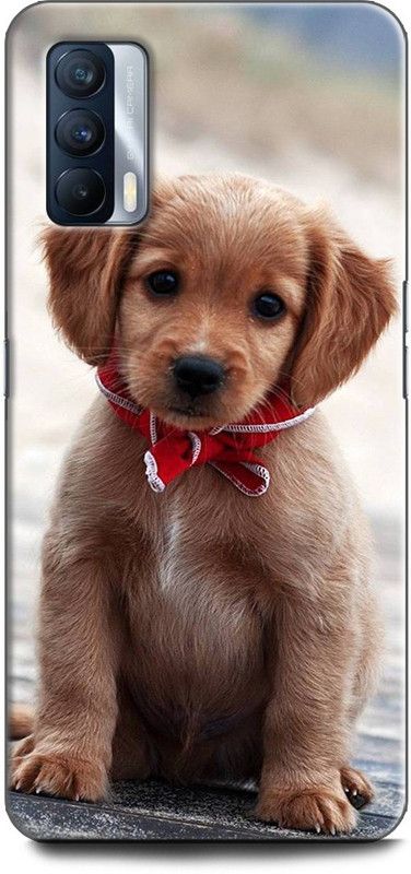 Afterglow Back Cover for Realme X7 DOG, CUTE DOG, PUPPY, ANIMALS, PETS, CUTE PUPPY, LOVE, DOGS  (Multicolor, Shock Proof, Pack of: 1)