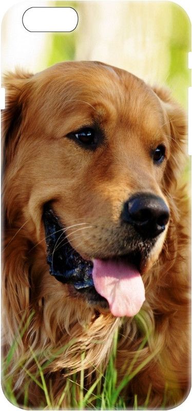 Smutty Back Cover for Apple iPhone 6s, A1633, A1688, A1691, A1700 - Dog Print  (Multicolor, Hard Case)