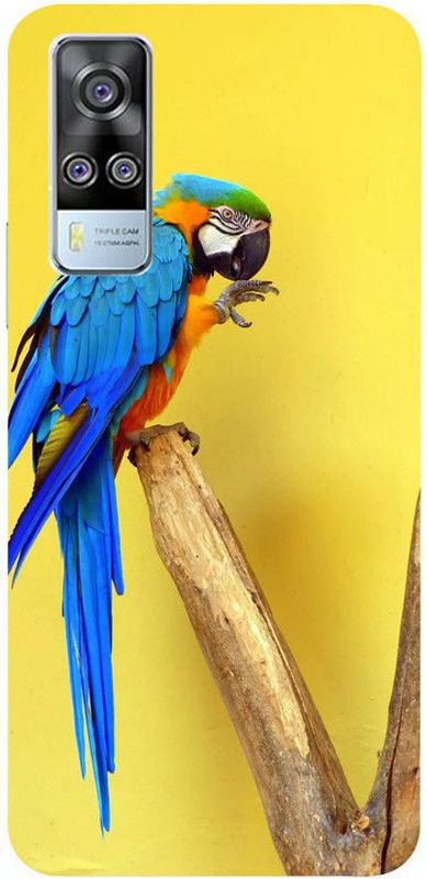 Skyhawk Back Cover for Vivo Y31(2021) Blue Maccow  (Multicolor, Waterproof, Silicon, Pack of: 1)