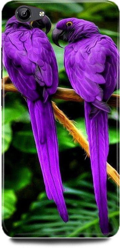 DIKRO Back Cover for vivo Y67, PARROT, PURPLE, PARROT, PIGEON  (Multicolor, Hard Case, Pack of: 1)