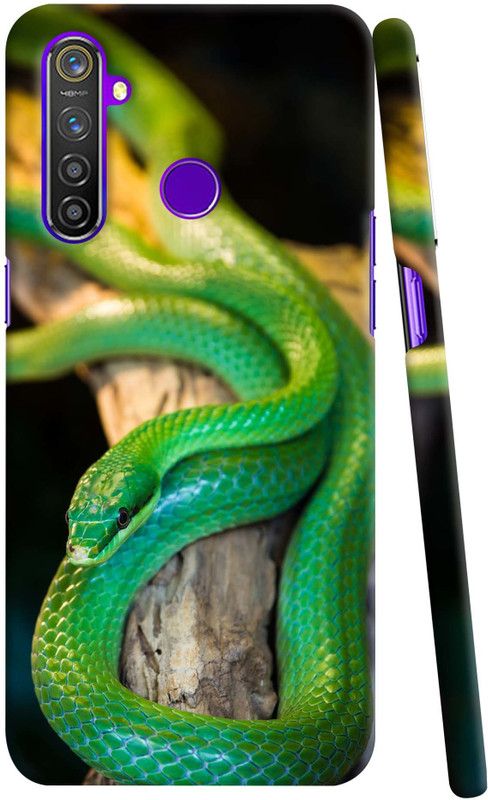 JS CREATIONS Back Cover for Realme 5  (Multicolor)