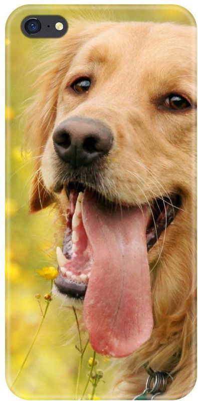 Smutty Back Cover for Oppo F1s, A1601 - Dog Print  (Multicolor, Hard Case, Pack of: 1)