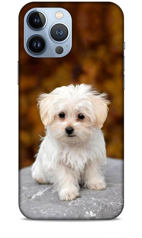 Lucent Crafts Back Cover for Apple iPhone 13 Pro Max  (Multicolor, 3D Case, Pack of: 1)