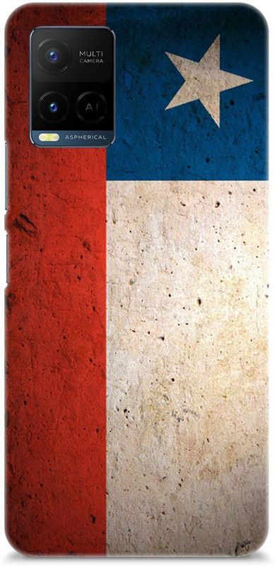 Chiraiyaa Back Cover for vivo Y21  (Multicolor, Hard Case)