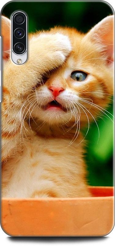 Afterglow Back Cover for SAMSUNG Galaxy A30s CAT, ANIMAL, CUTE CAT, FUNNY, MEOW  (Multicolor, Shock Proof, Pack of: 1)